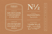 Endlants, a Serif Font by Drizy (Thumbnail 3 of 9)