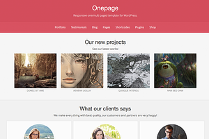 Onepage Premium