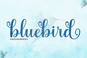 The Juliette | Script Font, a Script Font by Rastype (Thumbnail 4 of 6)