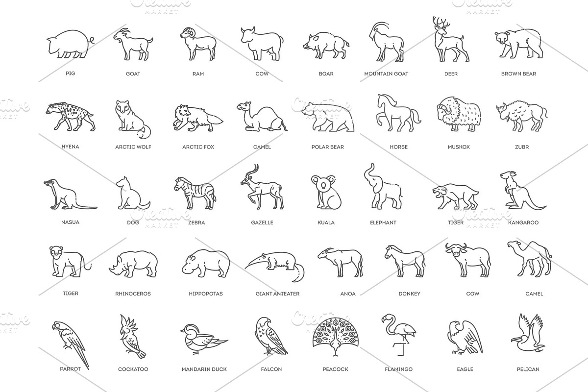 Animal icons. Vector icon set, an Animal Illustration by Tettygreen (Photo 2 of 3)