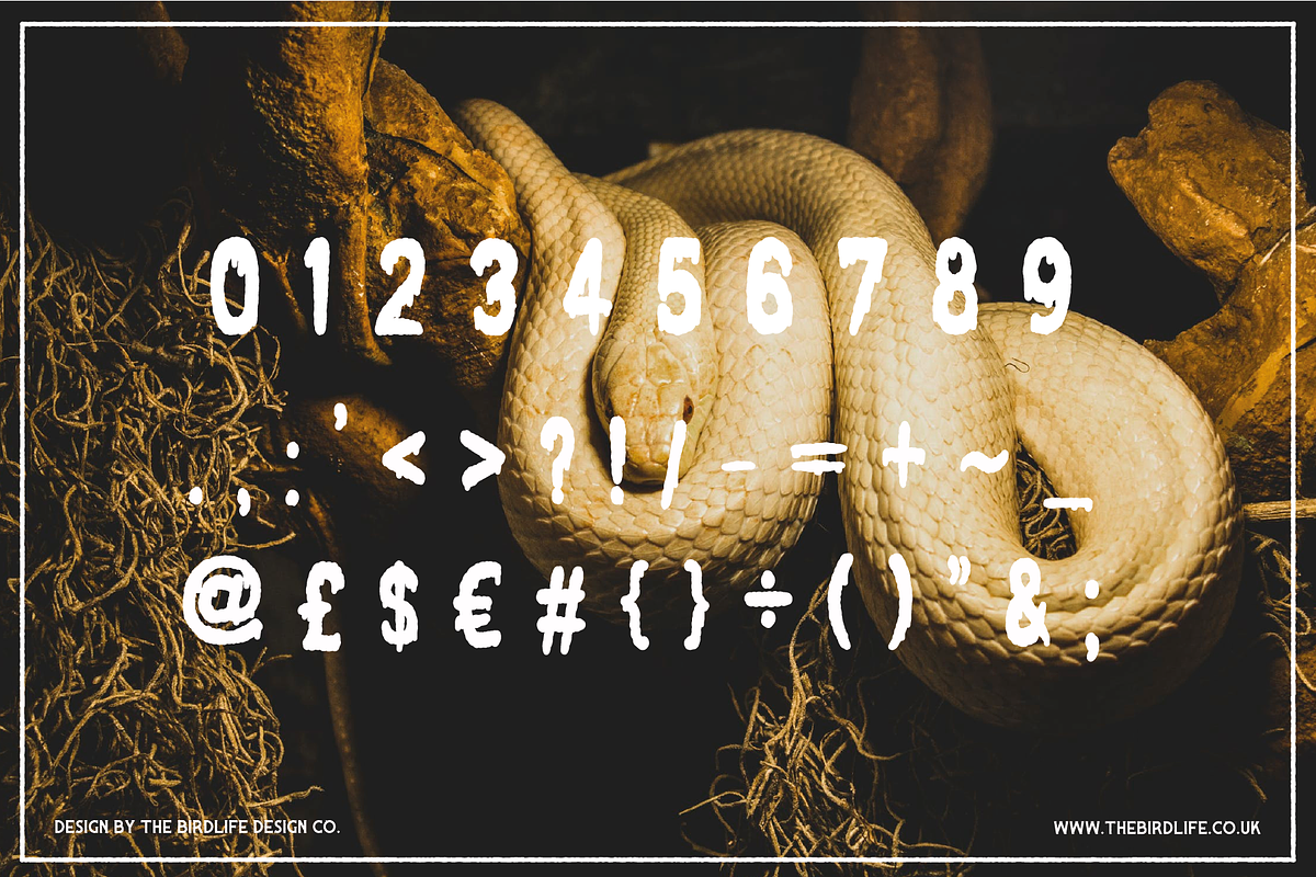 HALLOWEEN - FREAK SHOW preview 3