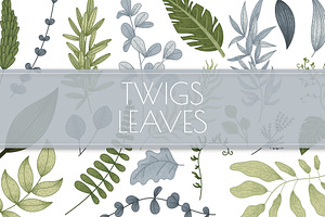 Vector Set Decorative Leaves and Twi