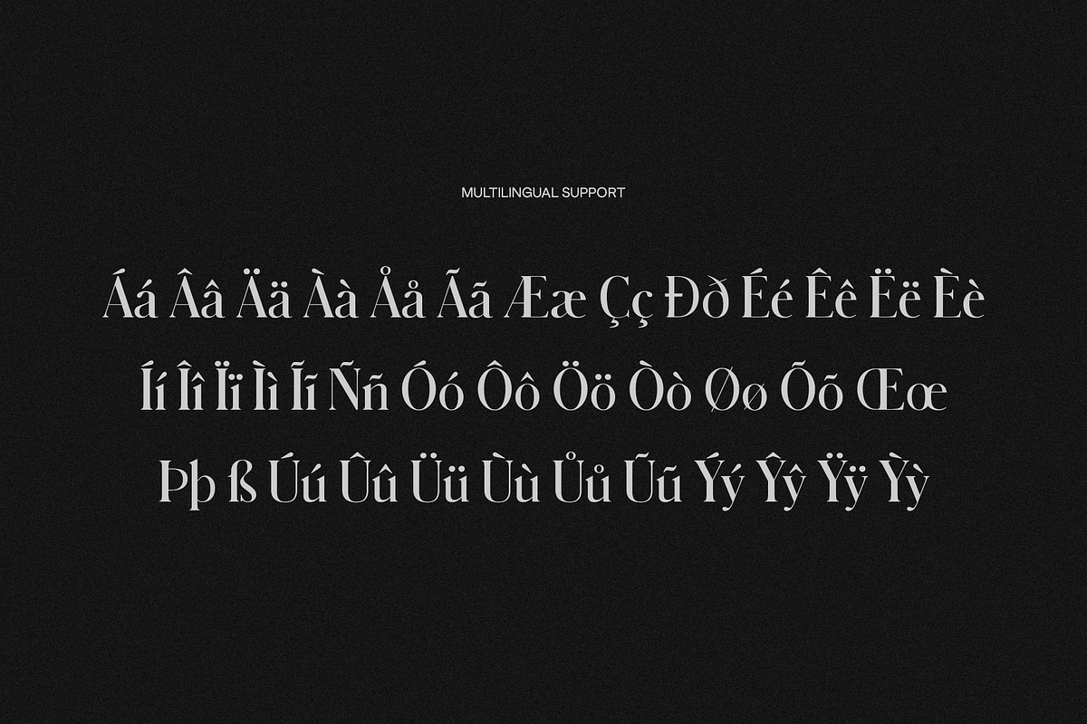 HOPELANDIC Modern Serif, a Serif Font by ALunadoki Design (Photo 5 of 8)