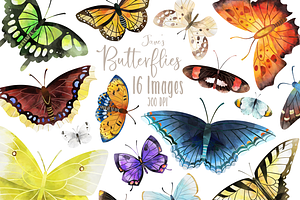 Watercolor Butterflies Set