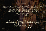Ostelyn – Elegant Script Font, a Script Font by Inviline.co (Thumbnail 5 of 15)