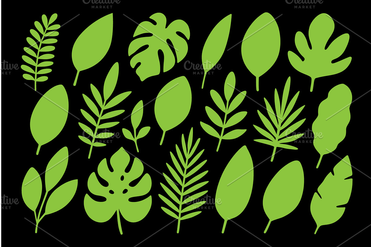 Green tropical leaf silhouettes on, an Illustration by GraphiShop