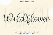 Wildflower Honey, a Handwritten Font by InermediaSTUDIO (Thumbnail 1 of 8)