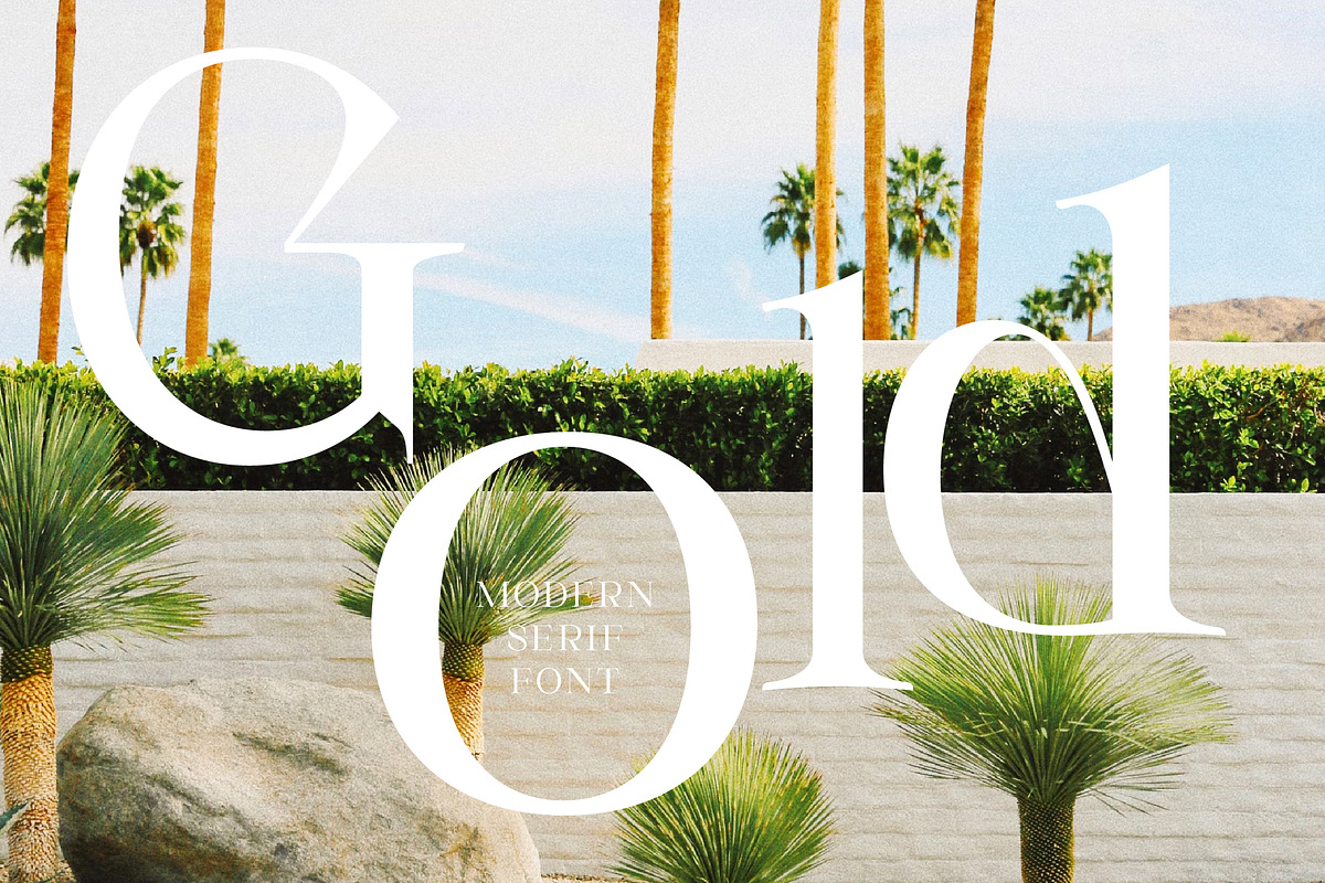 Gold & Song Modern Serif Font, a Serif Font by Storytype Studio (Photo 10 of 15)