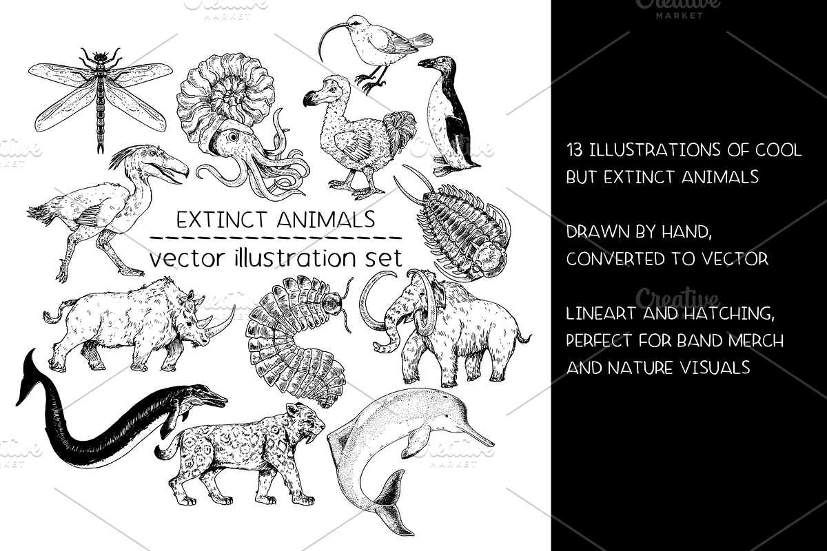 Extinct animals - illustration set, an Animal Illustration by Renée from Studio neetje (Photo 2 of 5)