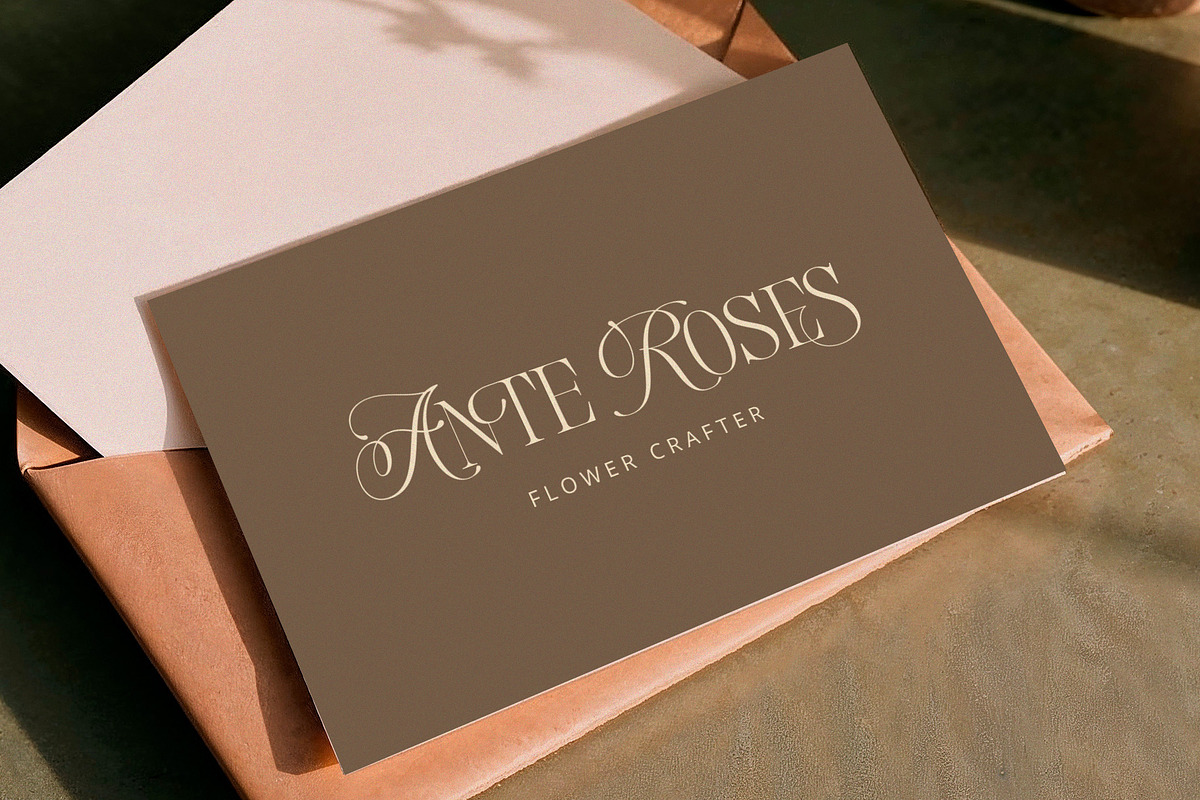 Blouse Lavender Display Serif, a Serif Font by Violet Natural (Photo 7 of 11)