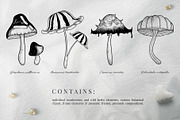 Hand Drawn Vector Vintage Mushrooms, a Decorative Illustration by foxsong (Thumbnail 4 of 12)