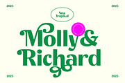 Agorey Dalling Groovy Retro Serif, a Serif Font by timelesstype.co (Thumbnail 4 of 20)