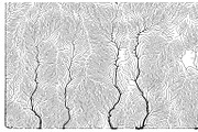 Growth - 50 Backgrounds, a Texture Graphic by GarryKillian (Thumbnail 6 of 51)
