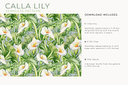 Calla Lily Seamless Pattern, a Pattern Graphic by PicByKate (Thumbnail 3 of 13)