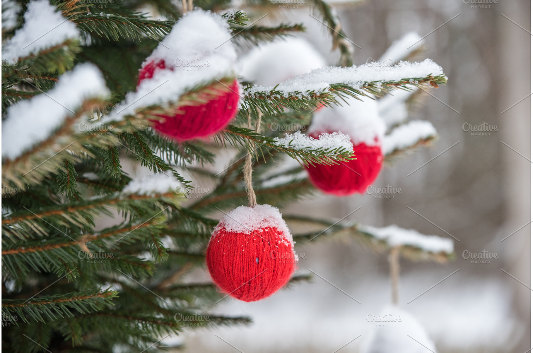 Red wool ball hanging on the green, a Holiday Photo by COLORFUL