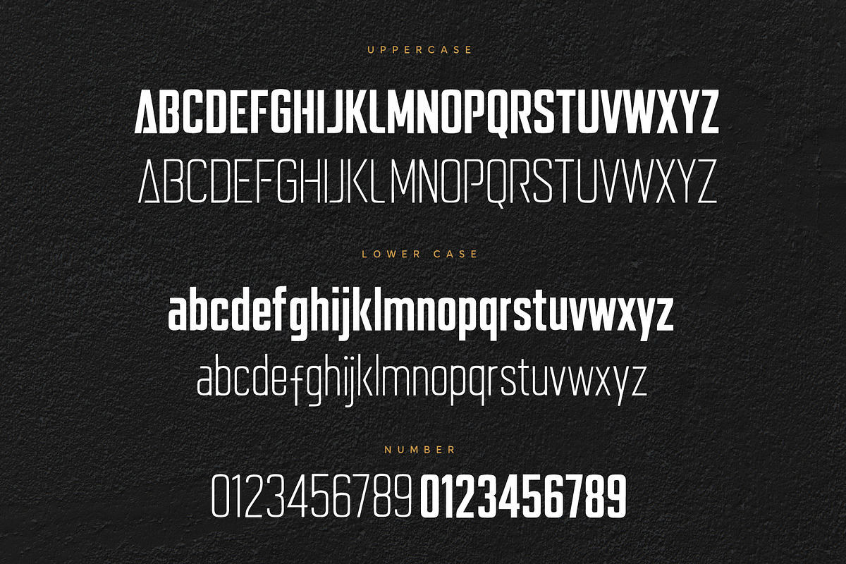 ALFANETA – Modern Branding Typeface, a Sans Serif Font by HypeWorksCo (Photo 12 of 13)