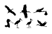 stork silhouette set design, a Branding & Logo Template by Atlantis X Nurman Arbai (Thumbnail 2 of 2)