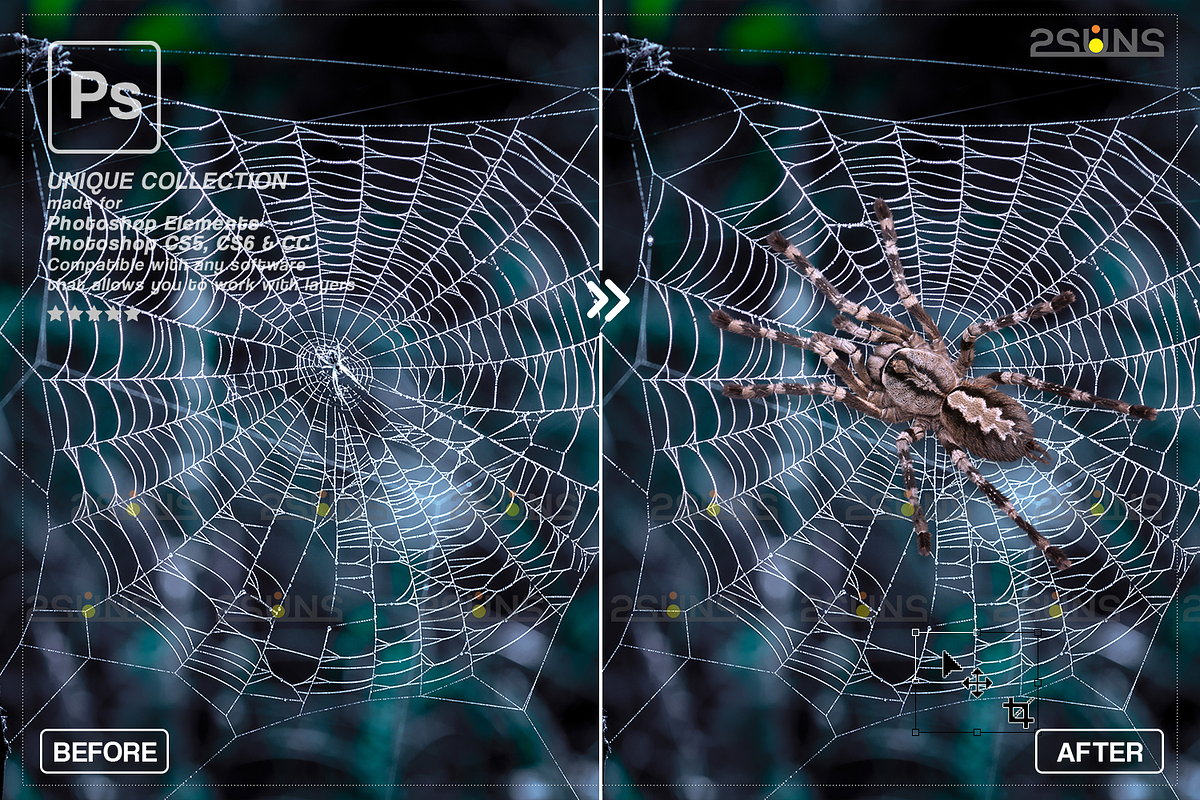 Spider Photoshop overlays, an Object Graphic by 2SUNS (Photo 7 of 9)