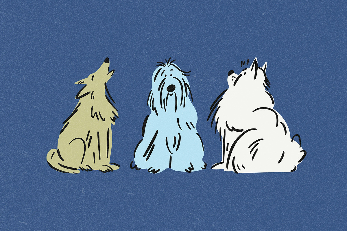 Dogs Being Dogs: 45 Illustrations, an Animal Illustration by Veyla (Photo 6 of 12)