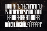 Snowman - Condensed Sans Serif, a Sans Serif Font by Pian45 Studio (Thumbnail 4 of 8)