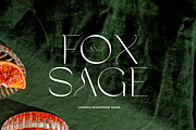 Charis - Moderne Sans, a Sans Serif Font by Sans & Sons (Thumbnail 6 of 7)