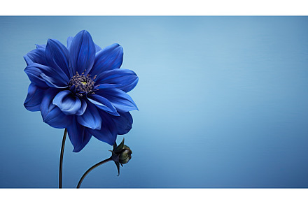 petals navy flower ai generated, a Nature Photo by pikepicture