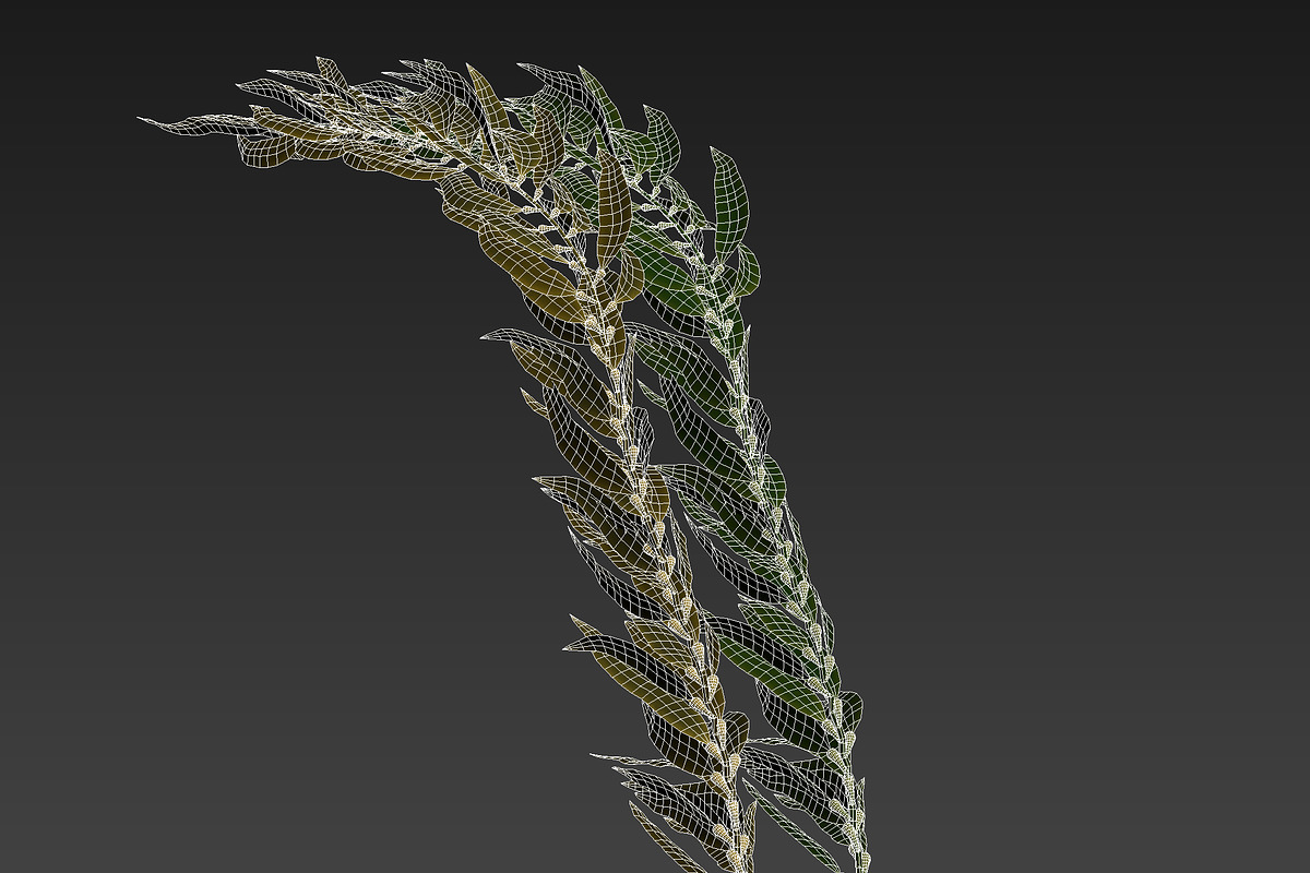 Kelp V2, an Environmental 3D Model by AndrewWhite (Photo 5 of 12)