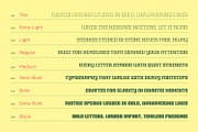 Witness, a Slab Serif Font by din-studio.com (Thumbnail 5 of 15)
