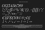 The Taylor Belle | Elegant Feminine, a Sans Serif Font by Jolicia Type (Thumbnail 11 of 15)