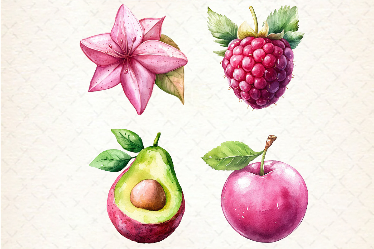 Watercolor Pink Fruit Clipart, an Illustration by Rose Art (Photo 4 of 4)