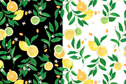 Citrus collection, a Pattern Graphic by ramika (Thumbnail 2 of 9)