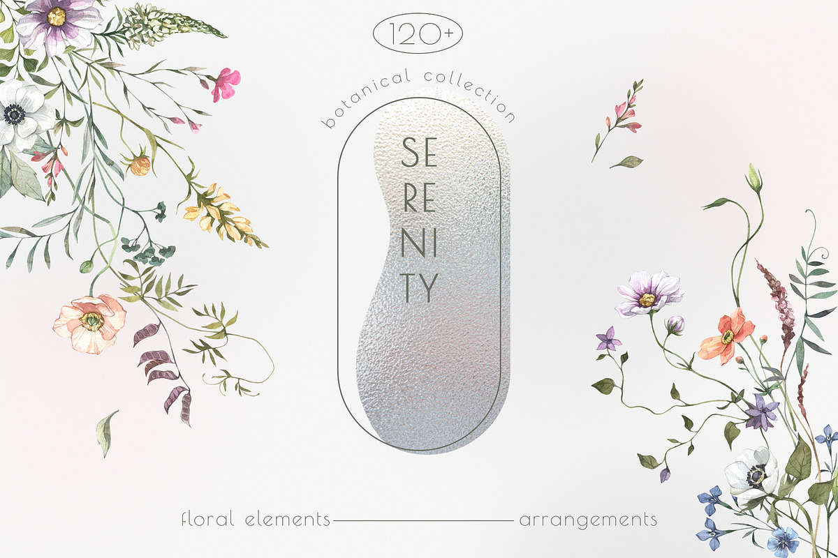 SERENITY Wild flowers collection, a Decorative Illustration by Anastezia Luneva (Photo 1 of 9)