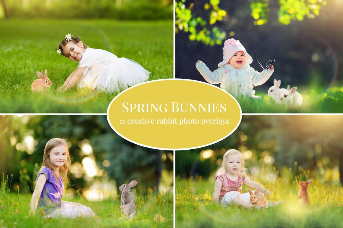 Spring Bunnies photo overlays, an Object Graphic by BrownLeopard (Photo 1 of 6)