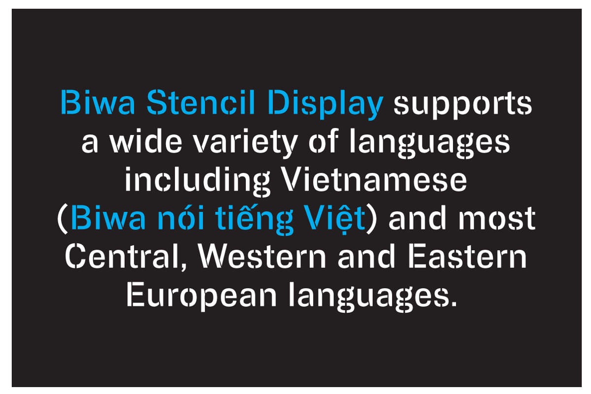 Biwa Stencil Display preview 2