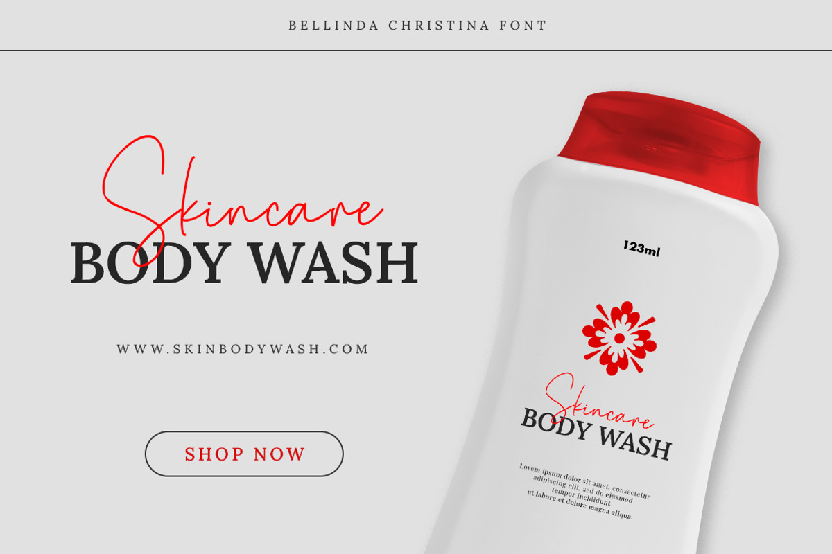 Bellinda Christina + 5 Font Style, a Script Font by Bluestype Studio (Photo 8 of 15)