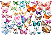 Botanical Butterfly Clipart Decor, a Decorative Illustration by Watercolor Digital (Thumbnail 5 of 9)