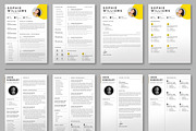 JOB WINNING RESUME - 50 TEMPLATES, a Resume Template by ResumeInventor (Thumbnail 25 of 184)