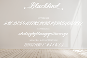 Blackbird - Elegance Calligraphy, a Script Font by Fikryal Studio (Thumbnail 10 of 11)
