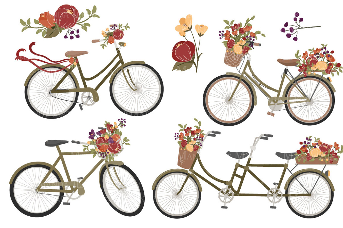Autumn Floral Bicycle Vectors, an Illustration by Amanda Ilkov (Photo 5 of 5)