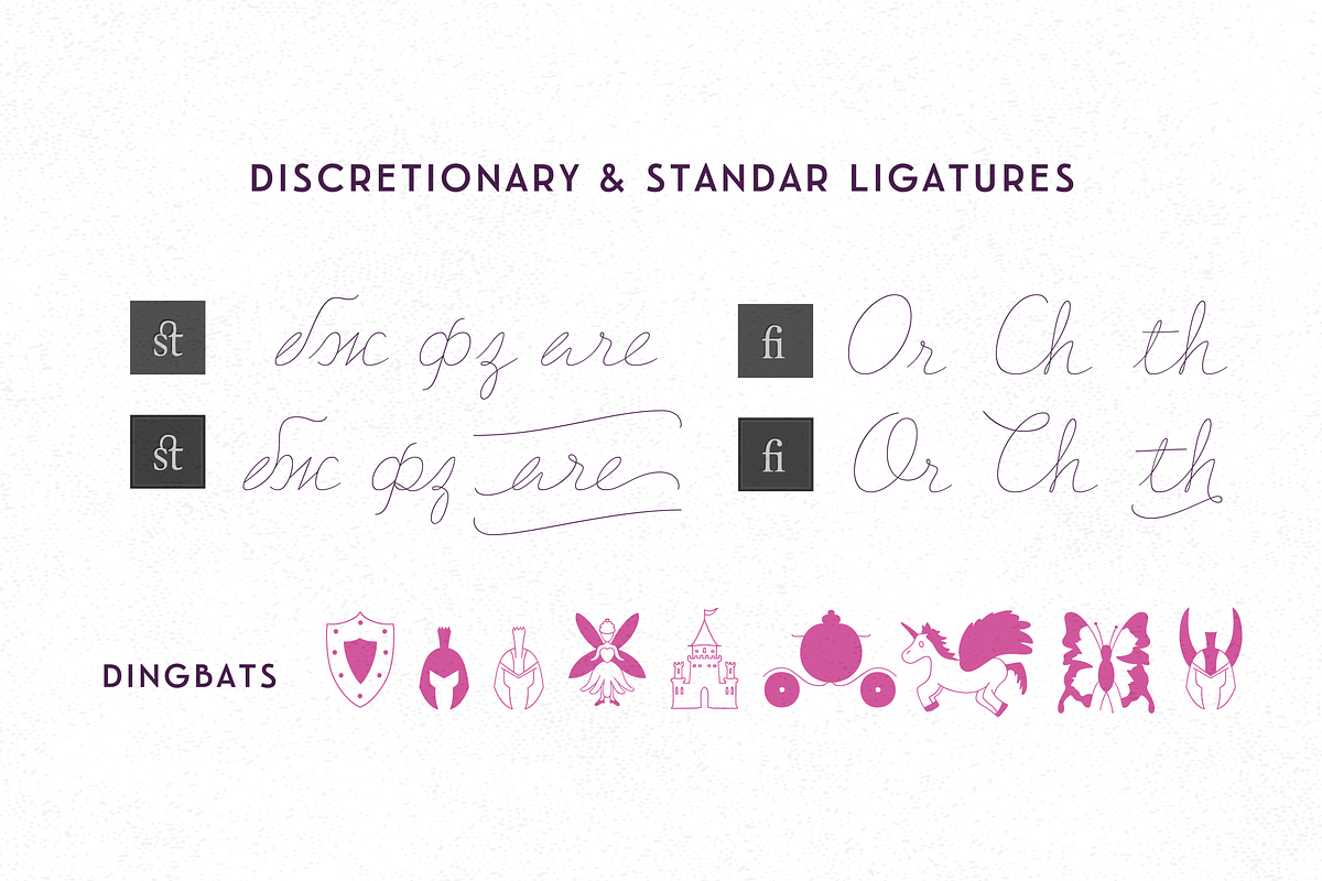 BLACK FRIDAY Delirio Font Family, a Script Font by graffistyling (Photo 10 of 20)