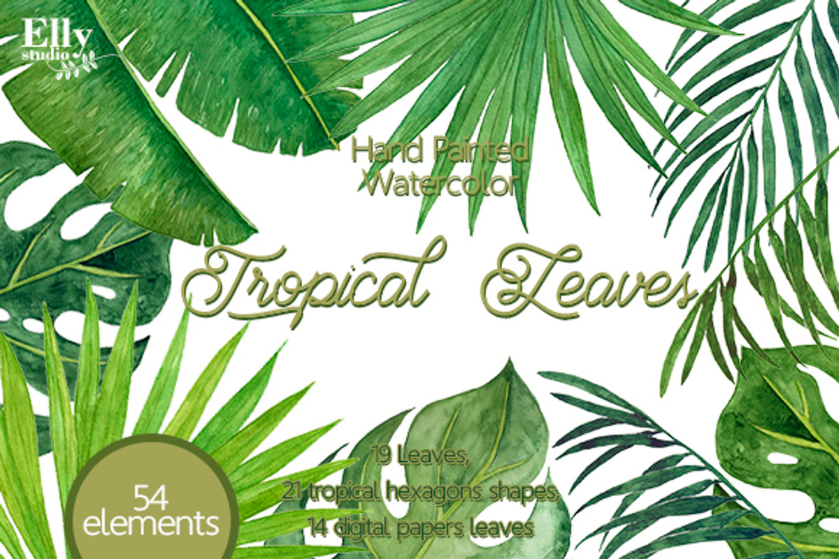 Tropical Leaves, a Texture Illustration by Elly Studio (Photo 1 of 7)