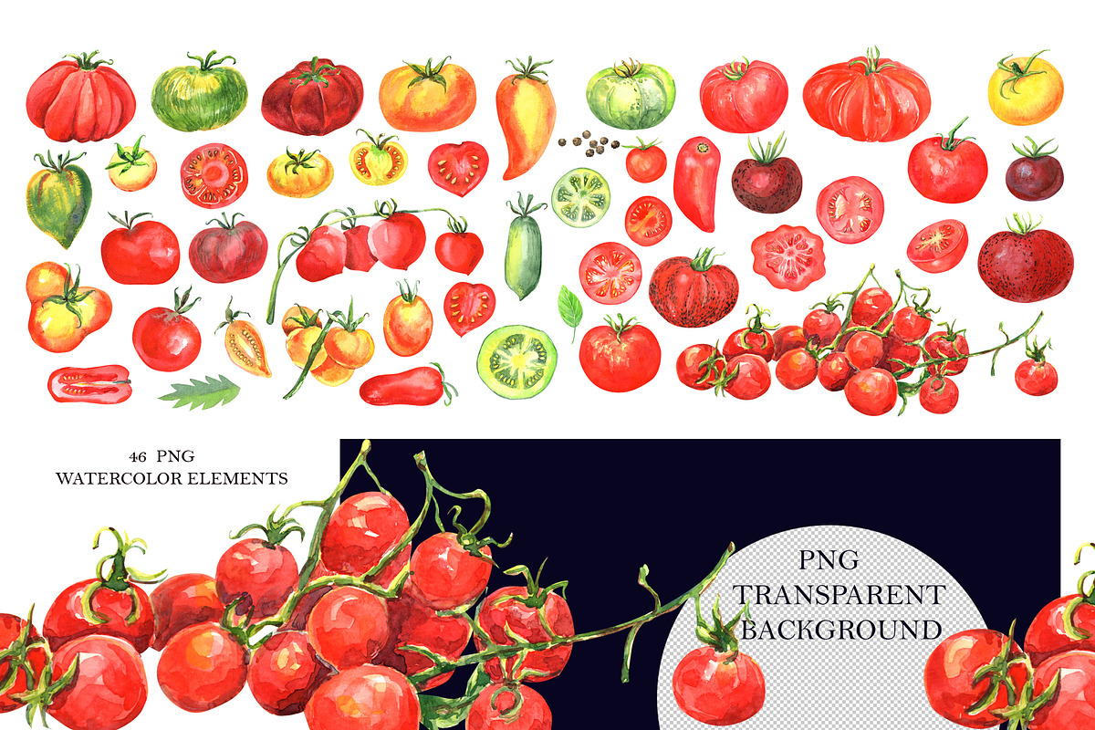 Watercolor TOMATOE, a Food Illustration by JennyColorArt (Photo 5 of 9)