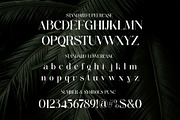Mulnir Modern Serif Font, a Serif Font by Alfinart (Thumbnail 10 of 11)