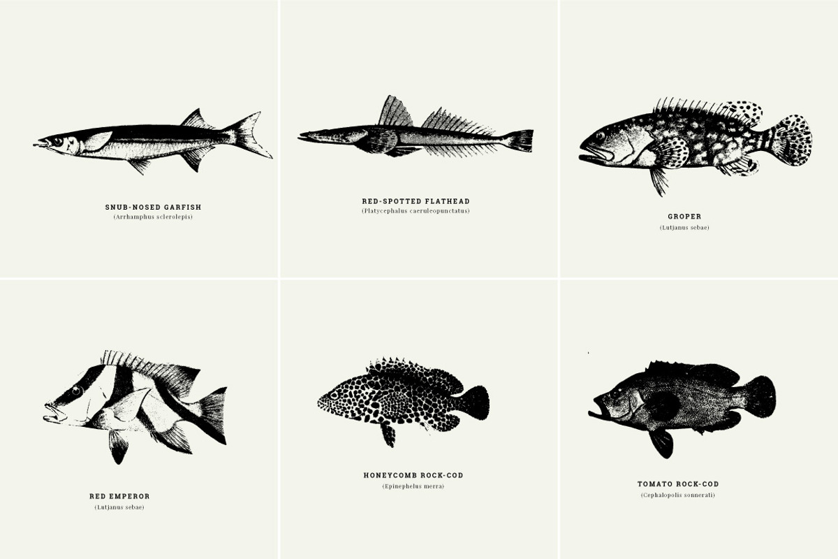 Fish Illustrations, an Object Graphic by Nomad Visuals (Photo 10 of 11)