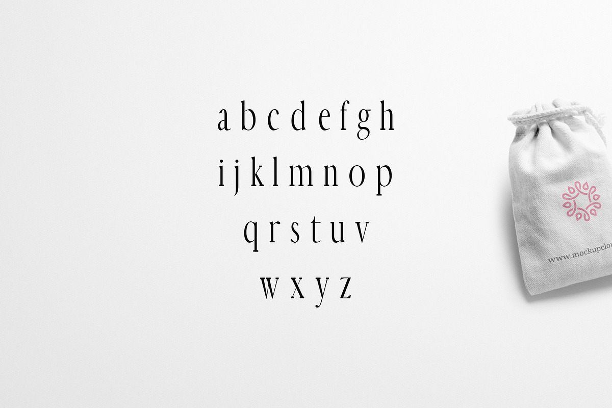 Earwyn Serif Font Family Pack preview 3