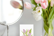 Tulip Watercolor Collection, a Decorative Illustration by Sunshine Art (Thumbnail 3 of 8)