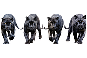 Individual Big Cats Bundle of 24, a Graphic by Jay Major Designs (Thumbnail 6 of 7)