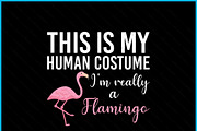 Human Costume Flamingo SVG, an Object Graphic by Creativeusart (Thumbnail 2 of 4)