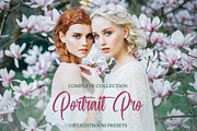 Portrait Pro Complete Collection, a Plug-in Add-On by FixThePhoto (Thumbnail 1 of 30)