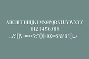 Vannela - Font, a Serif Font by artchiles_design (Thumbnail 4 of 5)